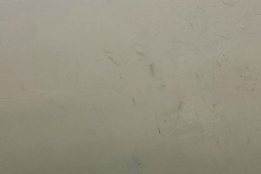 Print Slingback Kitten Mules Leopard Heel