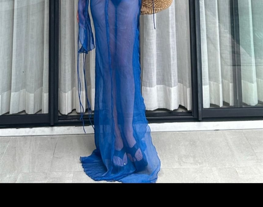 Long Sleeve V-Neck Ruffle Side Slit Sheer Maxi Sundress