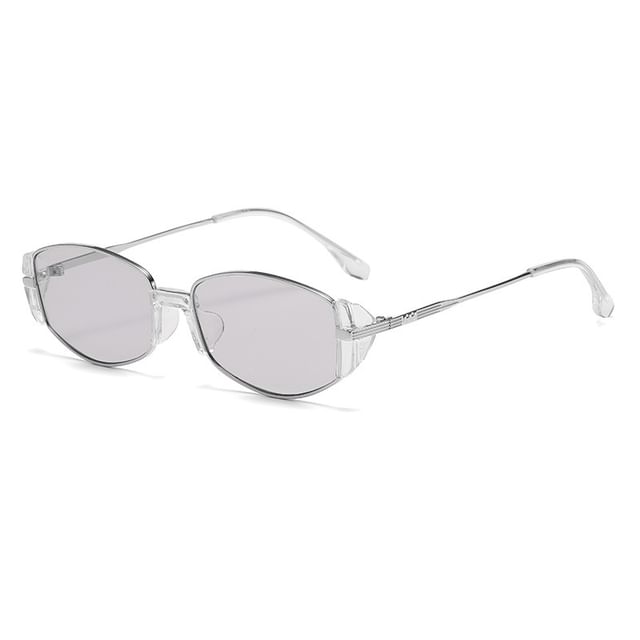 Shield Sunglasses Lens Flat