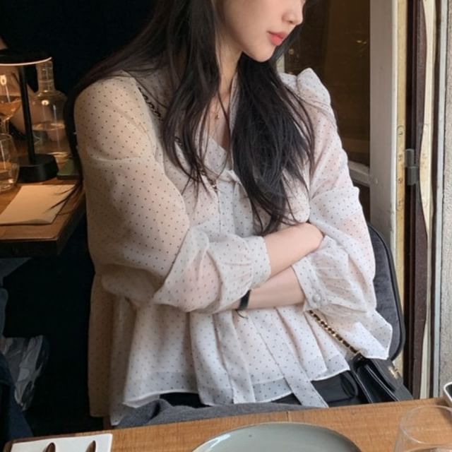 Dotted Sheer V-Neck Blouse with Long Sleeves & Skinny Scarf Set