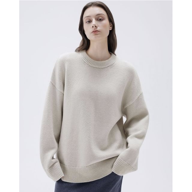 Crew Neck Plain Casual Sweater