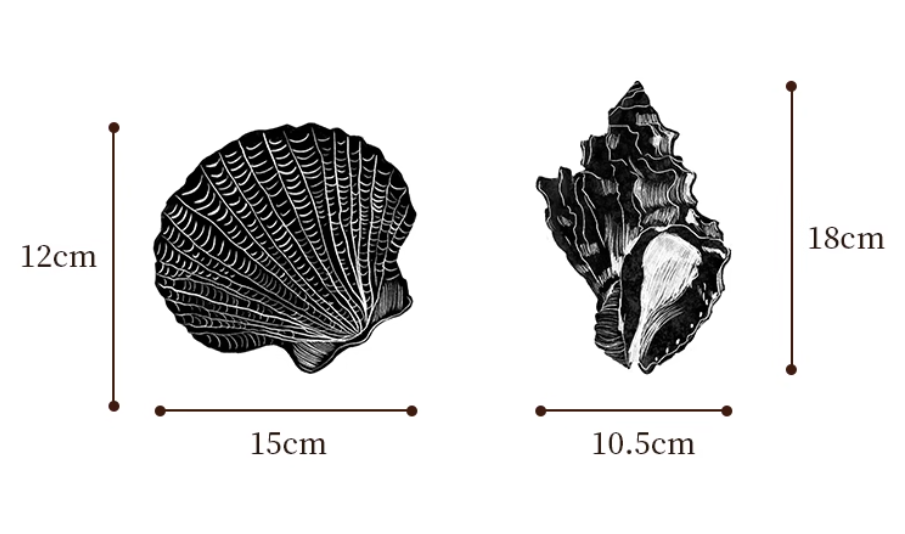 Lampes conques et coquillages MK19442