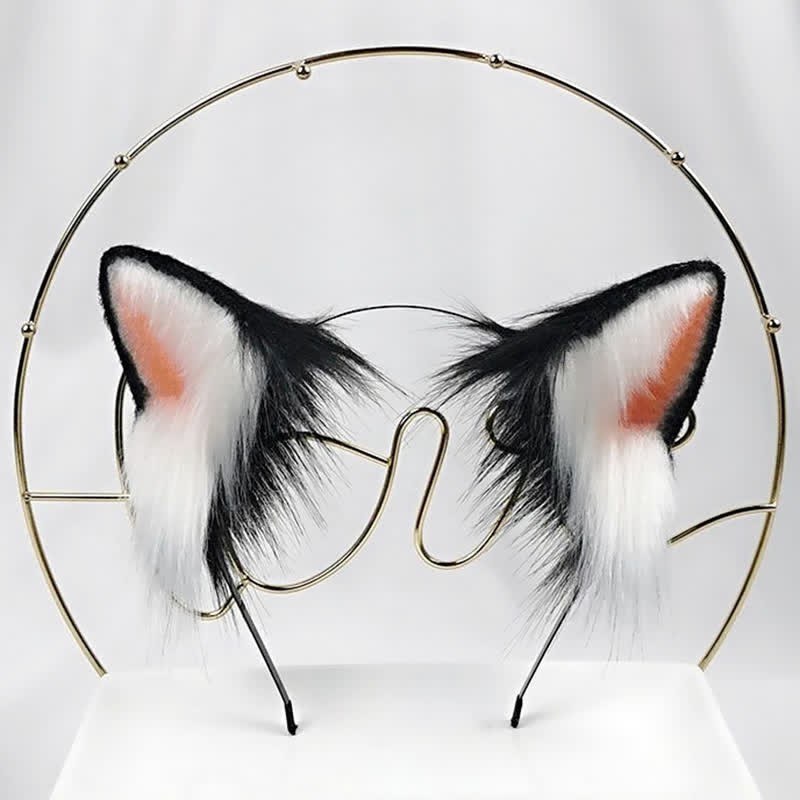 Kitty Ears Tail Headband Accessory