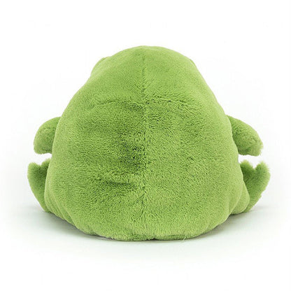 Kawaii Sad Frog Toy