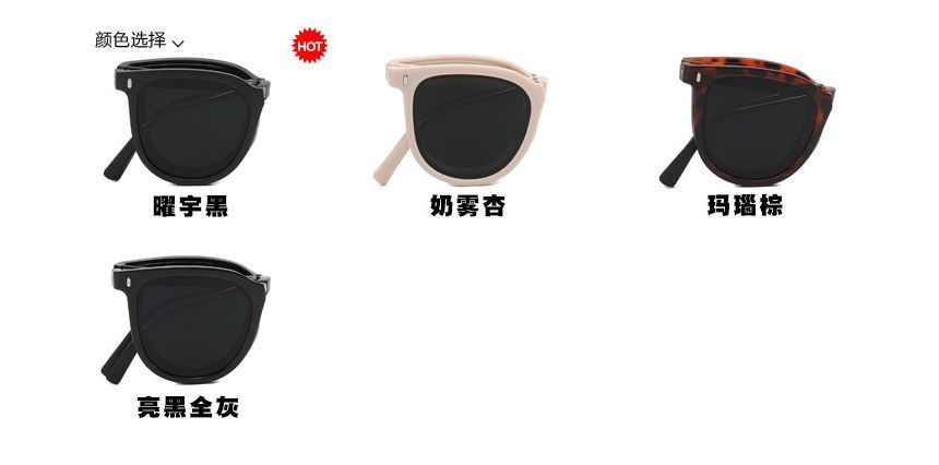 Foldable Sunglass Sunglasses / Case Retro