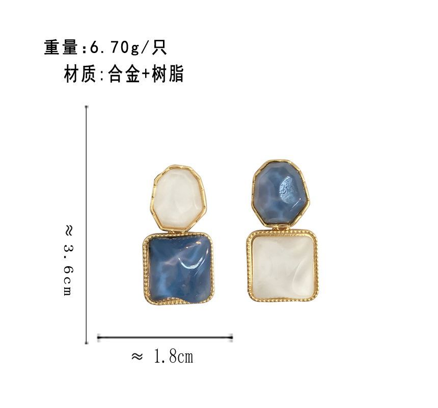 Dangle Earring Resin Alloy