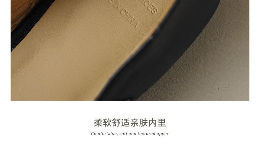 Strap Pointed Flats Buckled