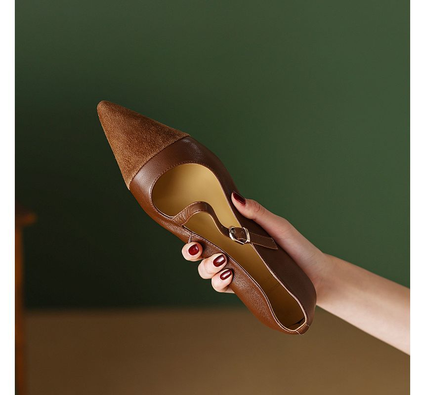 Strap Pointed Flats Buckled