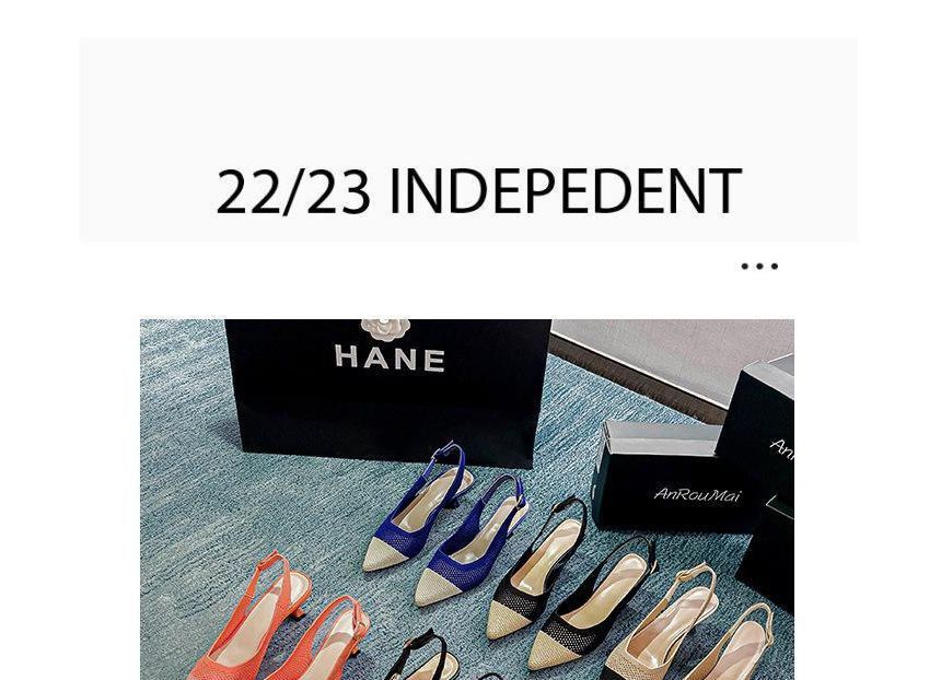 Pointed Slingback Sandals Heel Kitten