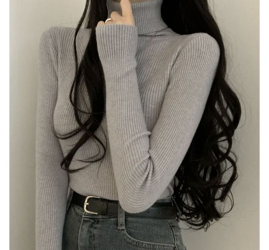 Long-Sleeve Turtleneck Plain Ribbed Knit Top