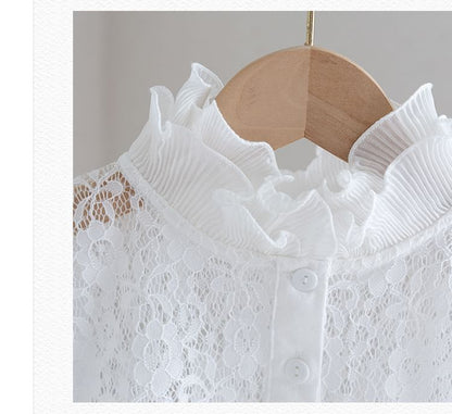 Lace Decorative Collar