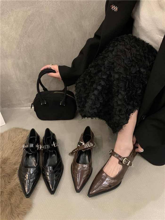 Jane Shoes Pointy Mary Paneled