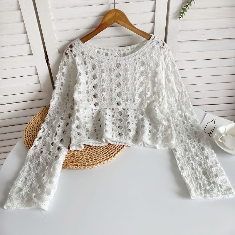 Long-Sleeve Crew Neck Crochet Lace Top