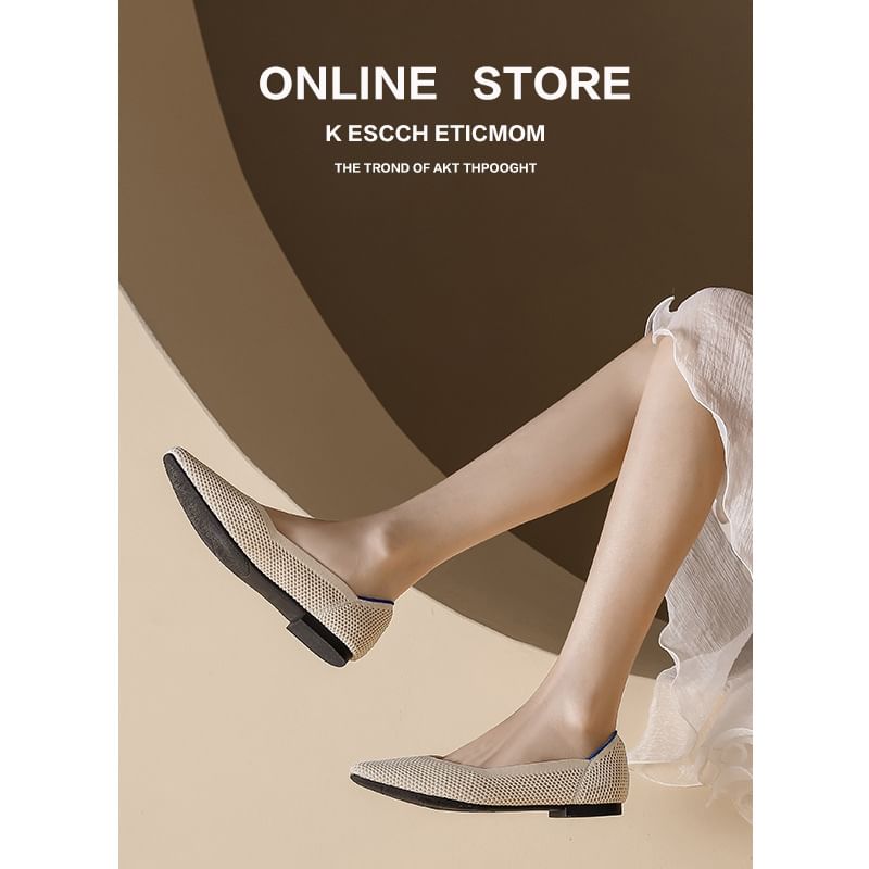 Plain Pointed Flats