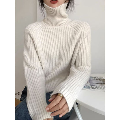 Turtleneck Plain Ribbed Sweater