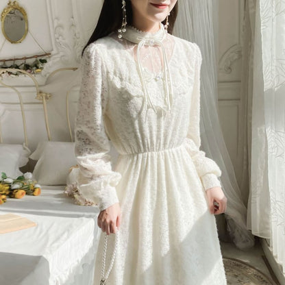 Long-Sleeve Mock Neck Plain Lace Panel Midi A-Line Dress