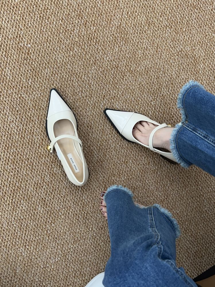 Mary Pointed Shoes Chunky Heel Toe Jane