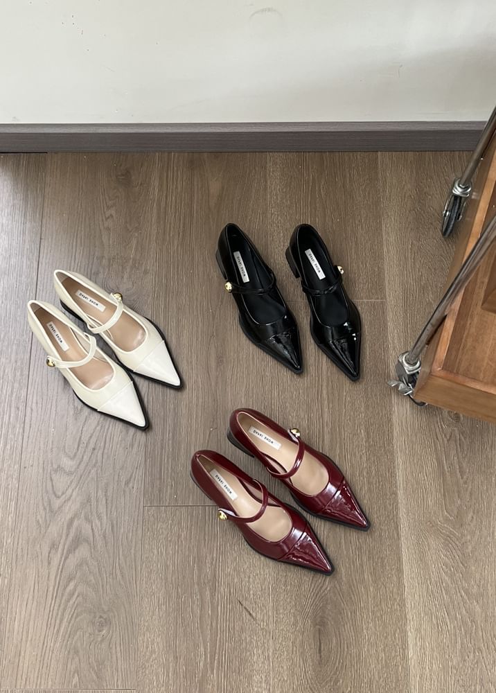 Mary Pointed Shoes Chunky Heel Toe Jane