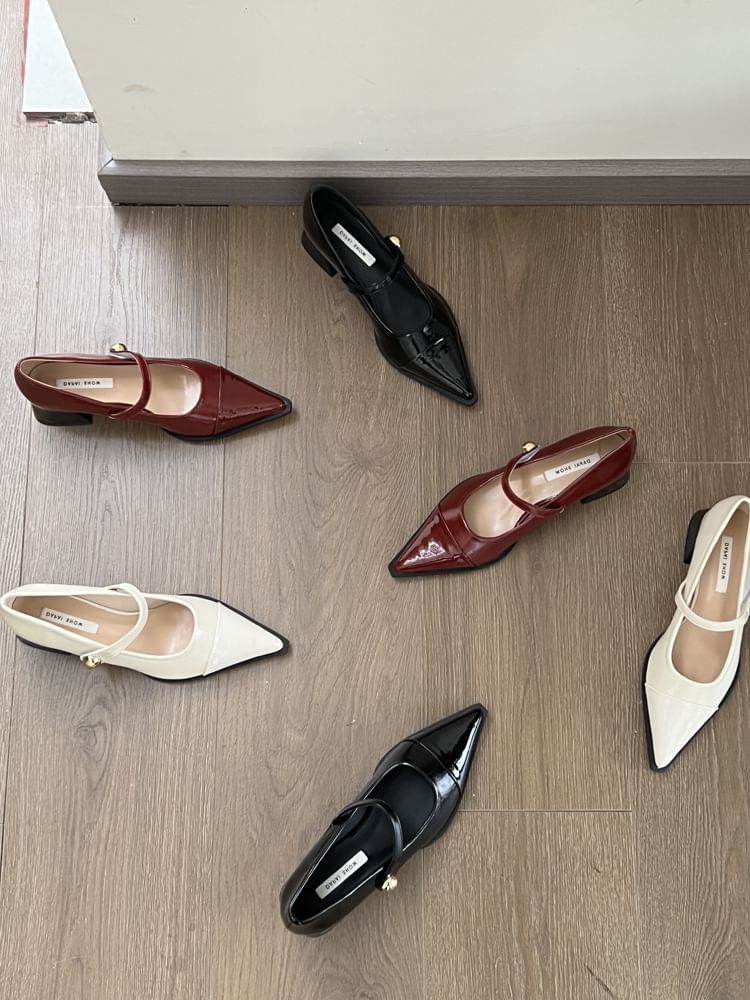 Mary Pointed Shoes Chunky Heel Toe Jane
