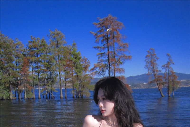 Trim Plain A-Line Halter Maxi Ruffle Dress V-Neck