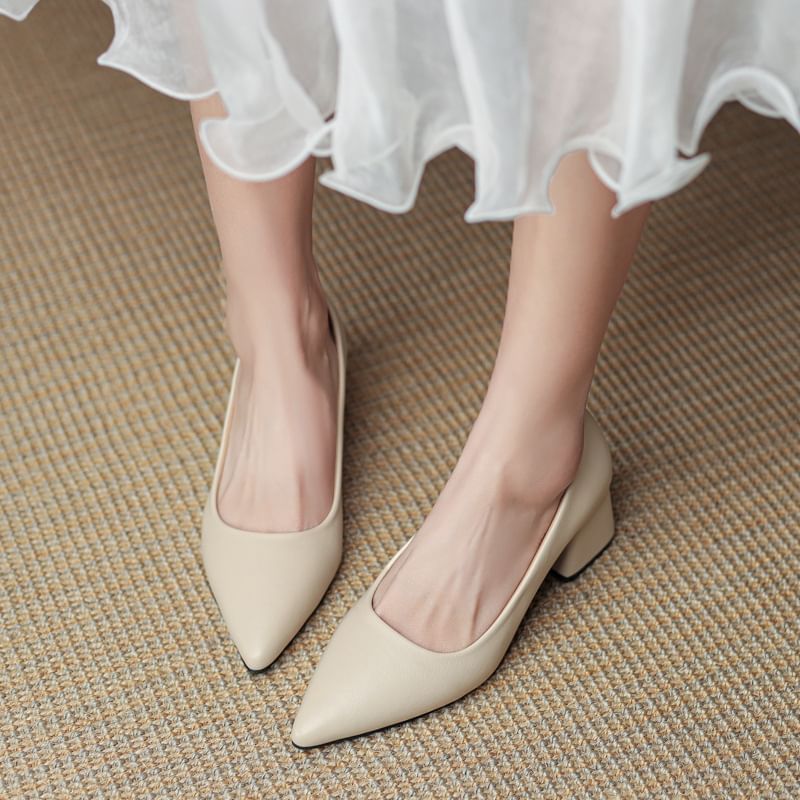Heel Block Pointed Pumps