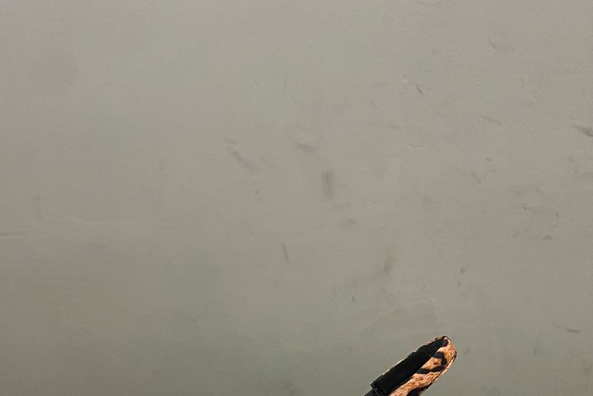 Print Slingback Kitten Mules Leopard Heel