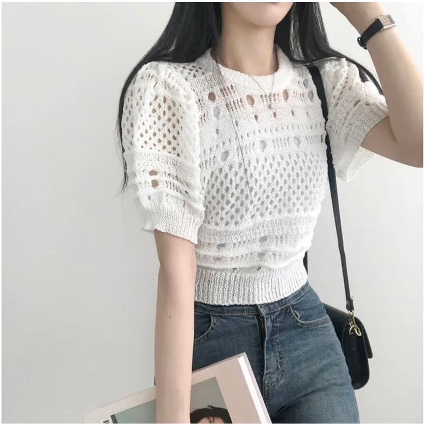 Short-Sleeve Crew Neck Plain Pointelle Knit Top