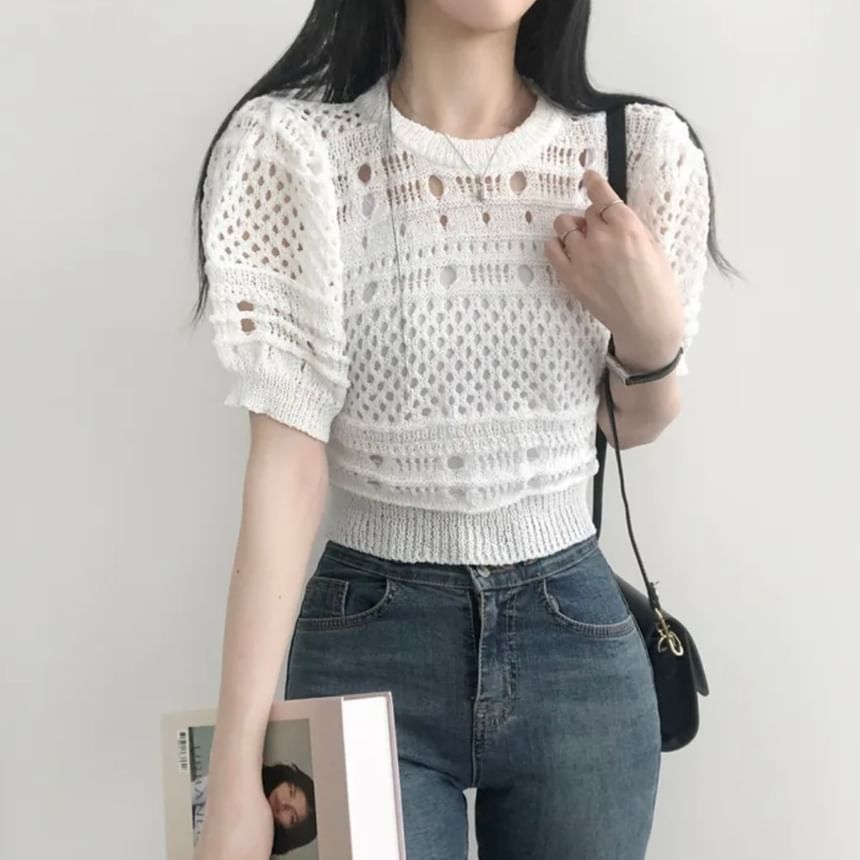 Short-Sleeve Crew Neck Plain Pointelle Knit Top