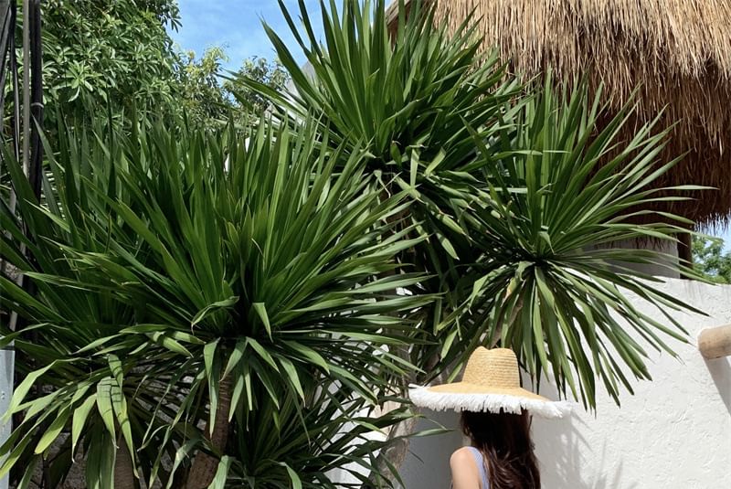 Neck Maxi Square Striped Dress Spaghetti Sun Strap Ruffle