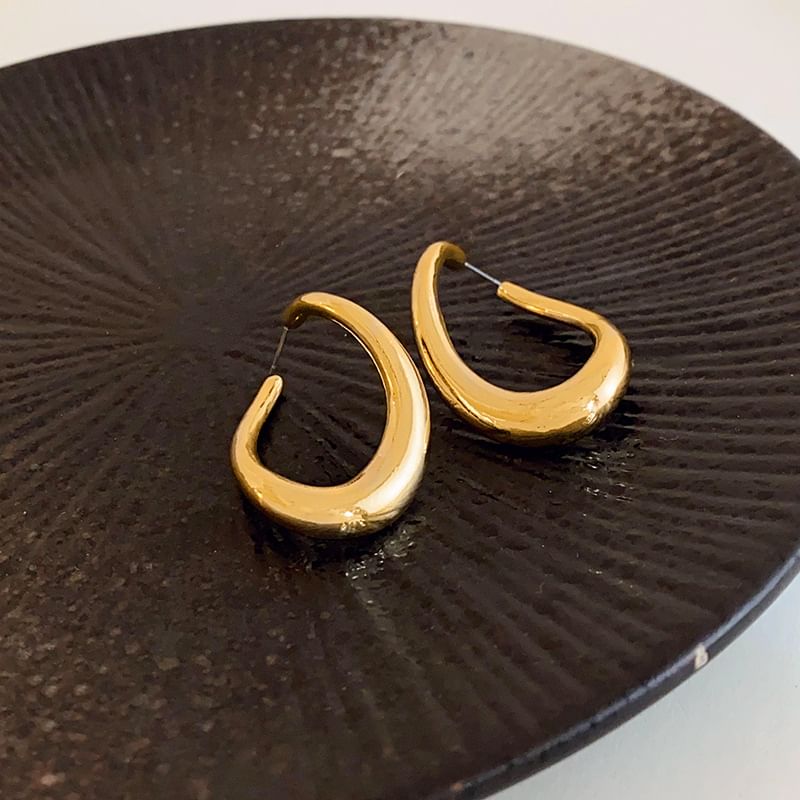 Hook Metal Earring