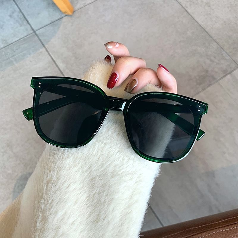 Square Sunglasses Frame