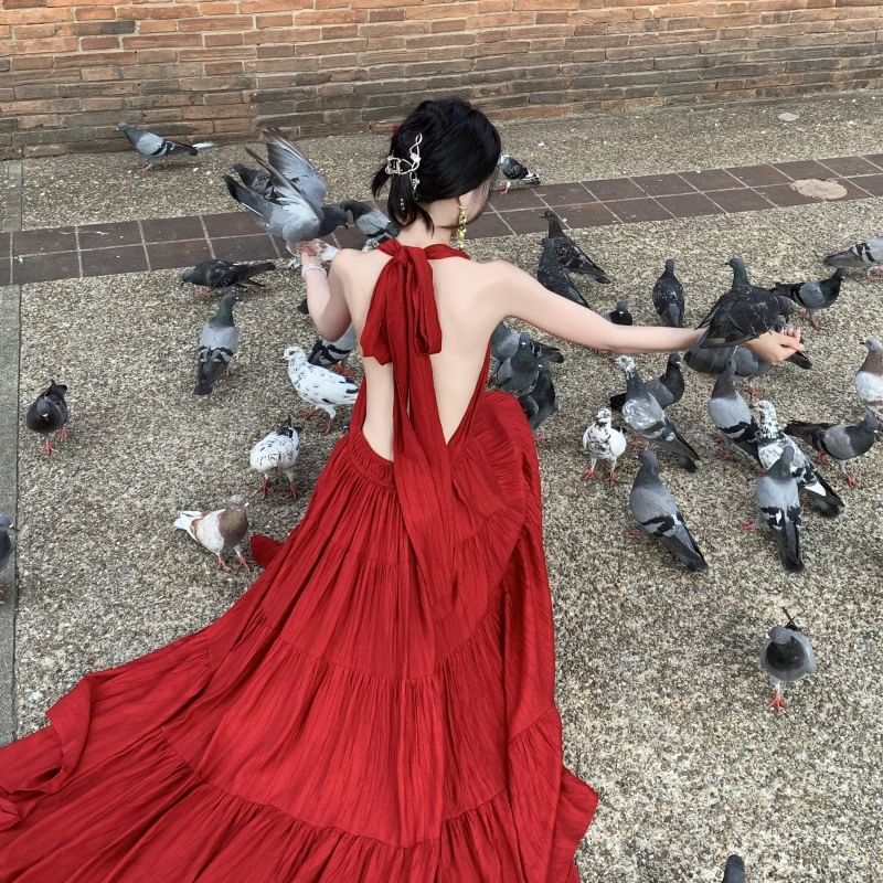 A-Line Plain Sleeveless Dress Maxi V-Neck