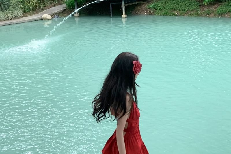 A-Line Plain Sleeveless Dress Maxi V-Neck