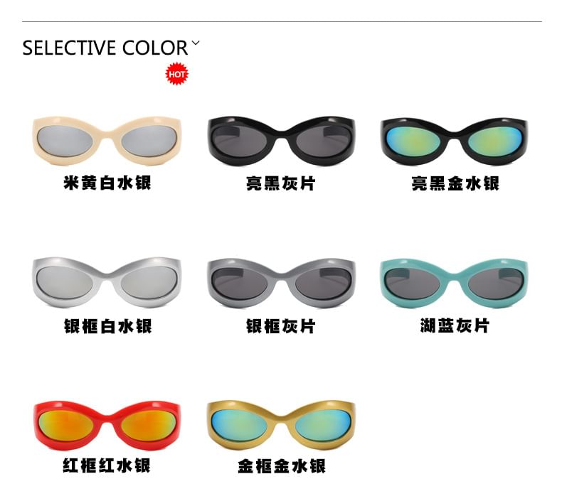Oval Rimmed Thick Sunglasses