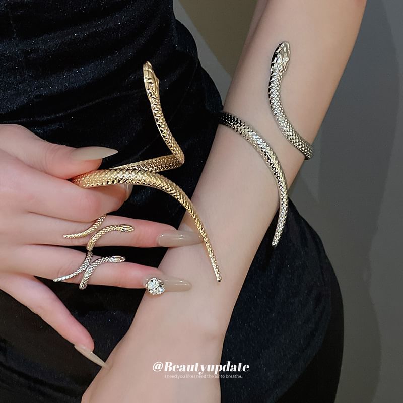 Set: Bangle Snake + Ring