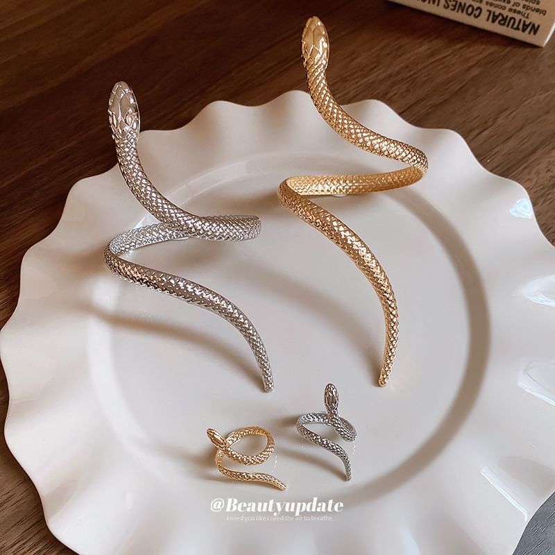 Set: Bangle Snake + Ring