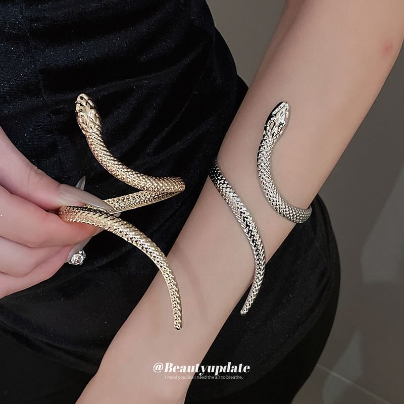 Set: Bangle Snake + Ring