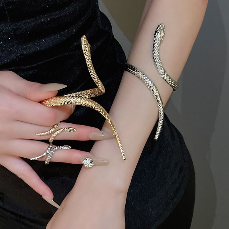 Set: Bangle Snake + Ring