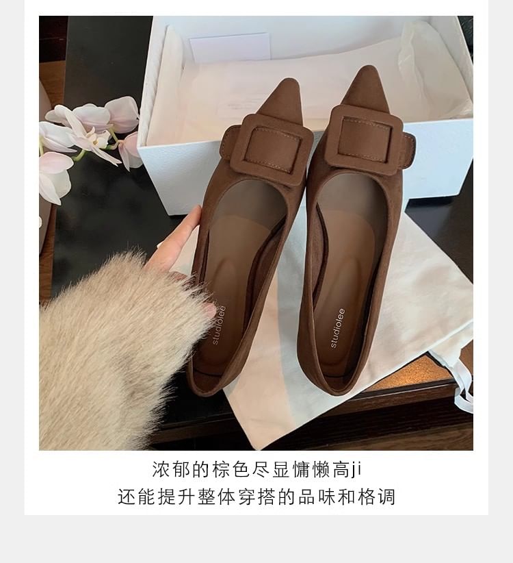 Buckled Toe Pointed Flats