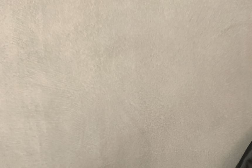 Velvet Pointed Studded Toe Pumps Bow