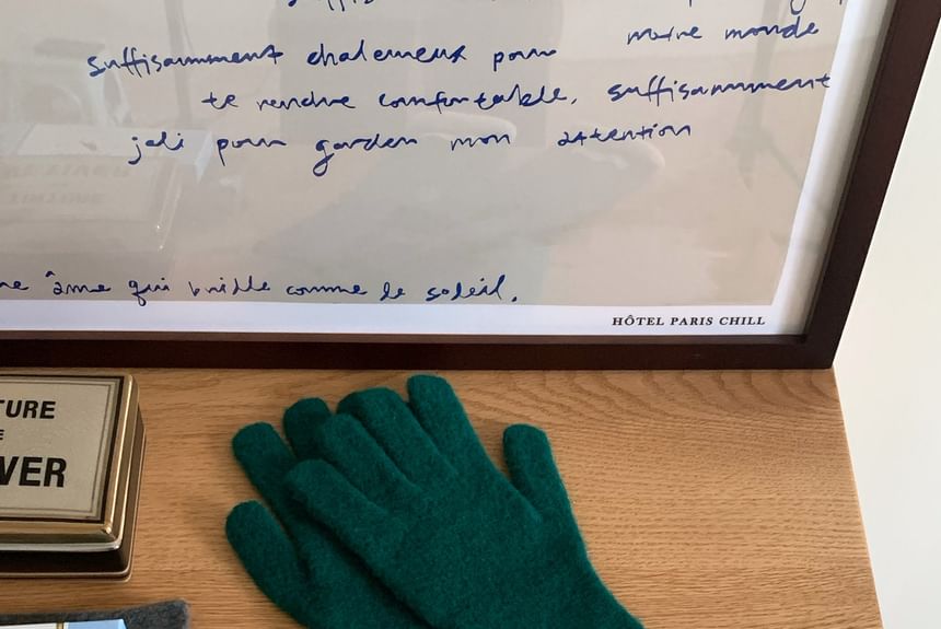 Knit Trim Gloves Contrast Applique