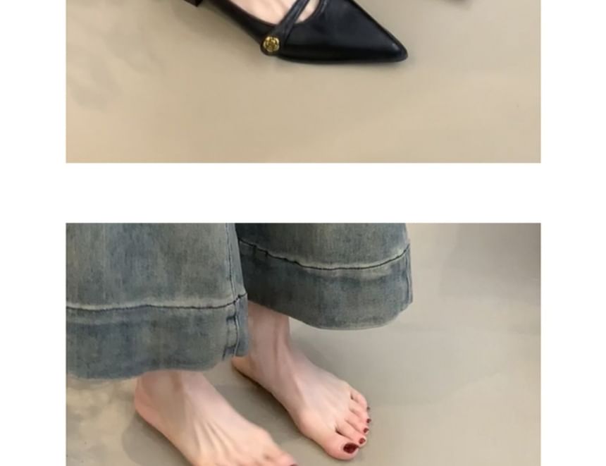 Jane Pointed Pumps Mary Low Heel