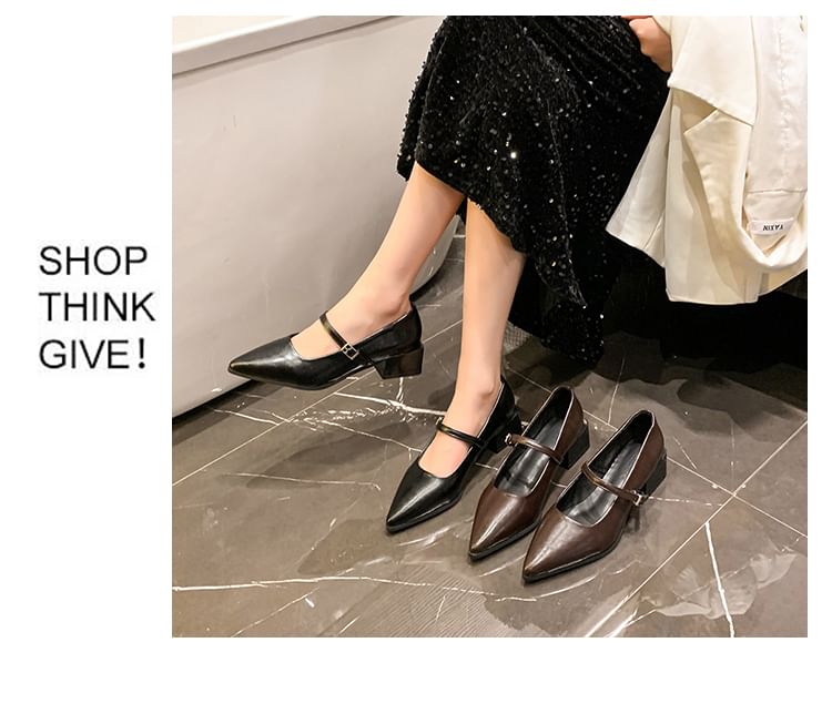 Shoes Mary Jane Pointy Heel Chunky