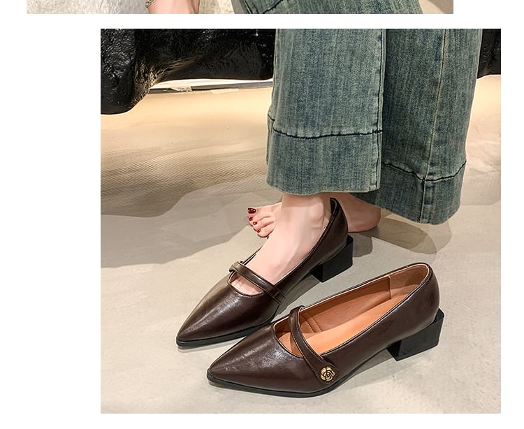 Pointy Mary Heel Chunky Jane Shoes