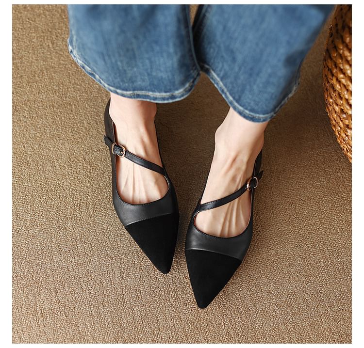 Pointed Leather Flats Faux
