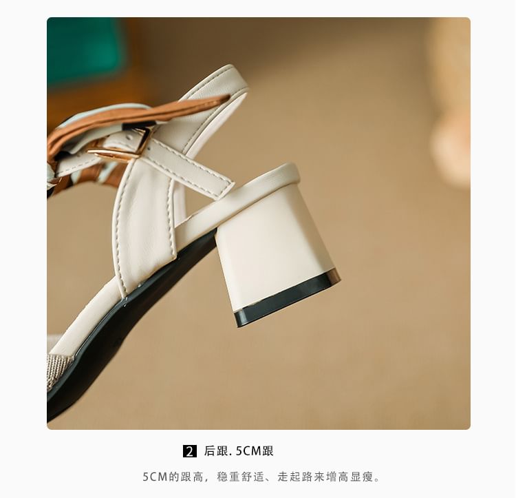 Chunky Heel Sandals Pointed