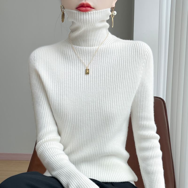 Plain Ribbed High Neck Long-Sleeved Knit Top