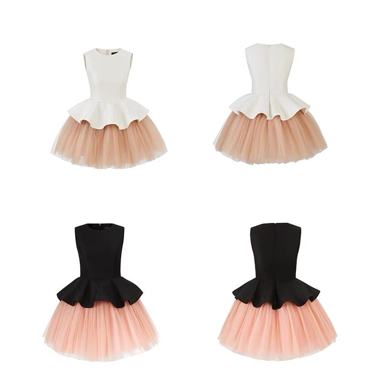 Sleeveless Crew Neck Two Tone Mesh Panel Mini A-Line Dress