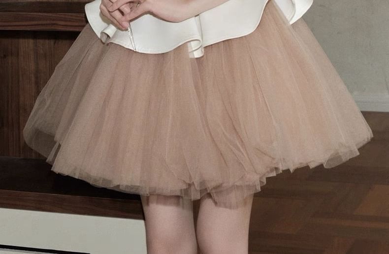 Sleeveless Crew Neck Two Tone Mesh Panel Mini A-Line Dress