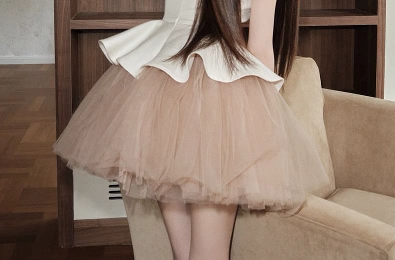 Sleeveless Crew Neck Two Tone Mesh Panel Mini A-Line Dress